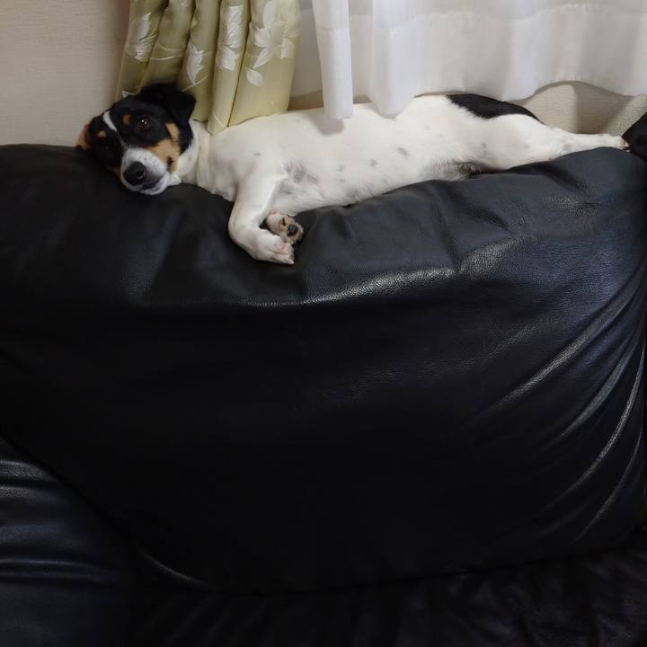 89ba026e a879 432b 9e2b 94dd09556f6f 1592794455756