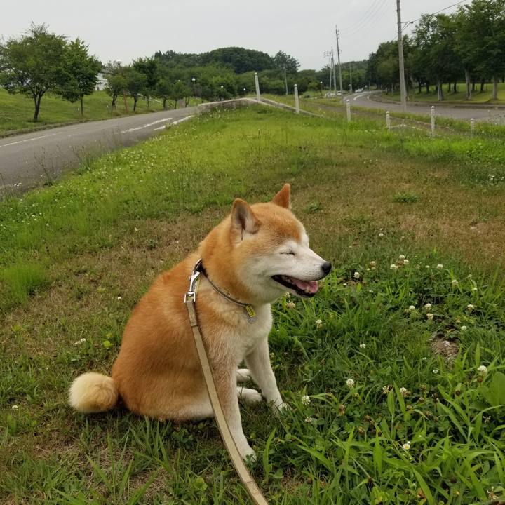 89ba39a3 f0aa 47a3 9241 e41c3255b265 1658132138124