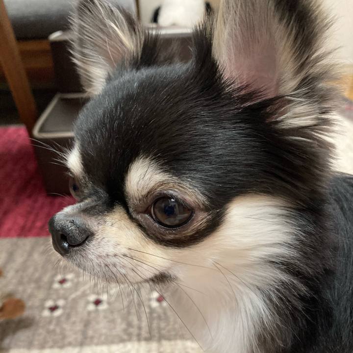 89ba674a 5ce2 425a bdf6 4fb55e66c041 1619358750656