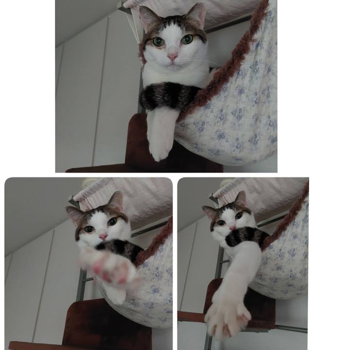 89ba7017 ea99 4adc b266 46a48a692e56 1752288385393