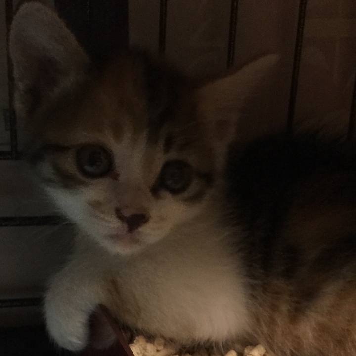 89ba91b6 0634 4621 b259 2496b1183e87 1628138756791