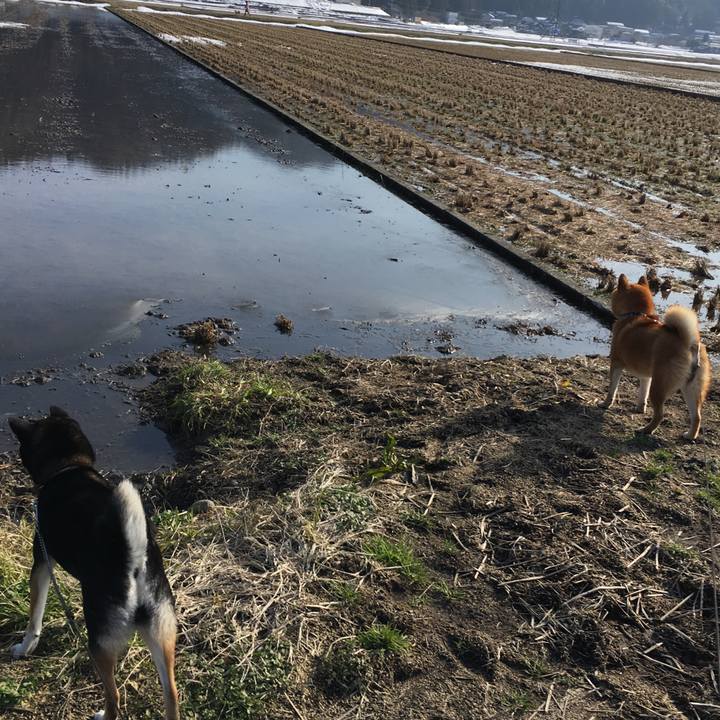 89baa009 dc50 4a8e a932 ee8f2bb2cab0 1520171870517