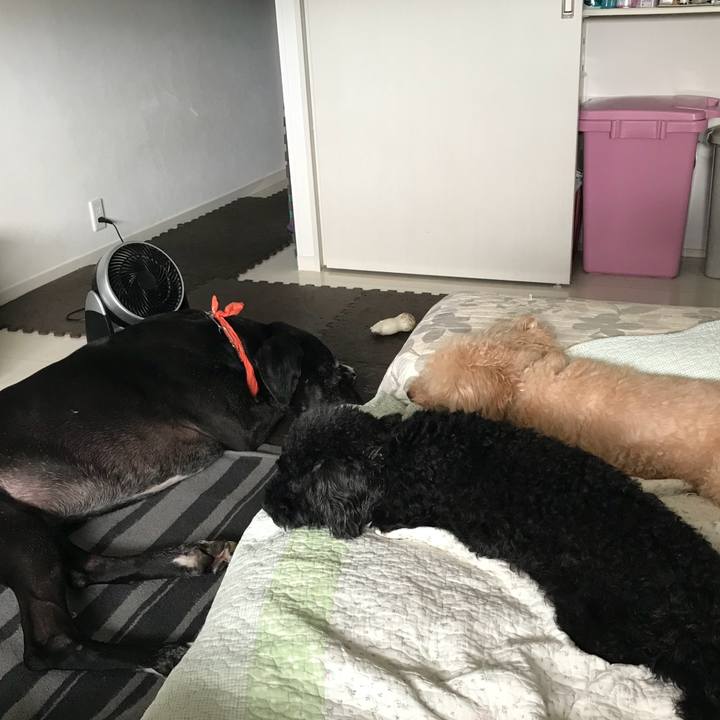 89bab8fa e4f9 4a82 801a ecfb1069118d 1536366881684