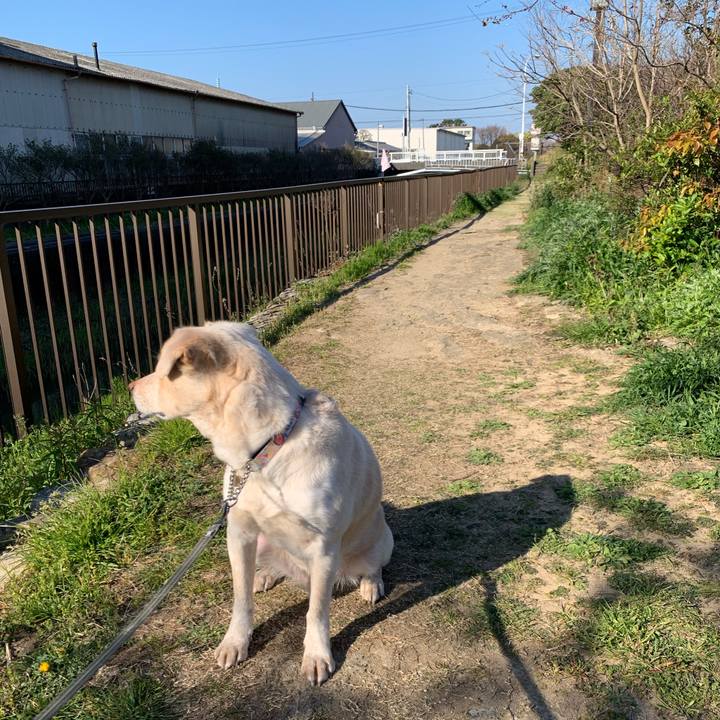 89badaed 01ff 4aaa 868b 2917509232c7 1554348311534