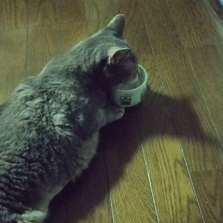 89bae656 5736 426c ae96 ab0cb82b9c29 1663182505891