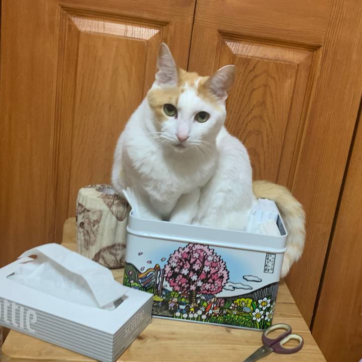 89baf076 b11f 46b5 ae04 5af48de5f2ea 1617206240477