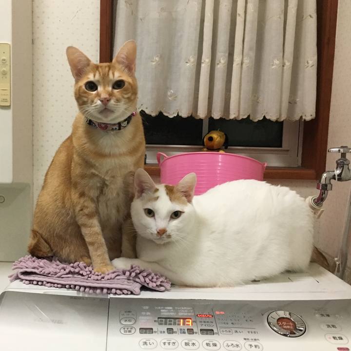 89bafab4 c371 4202 ad0b 5b1ce8799fac 1544919992441