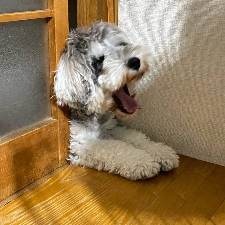 89bb07e7 523f 4736 b4b0 aac90cb5b49a 1605808476777