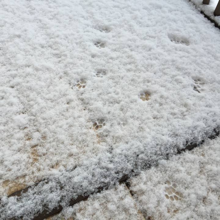 89bb330d 14b5 4cdc 8d47 dc46ad3b6257 1518392553995