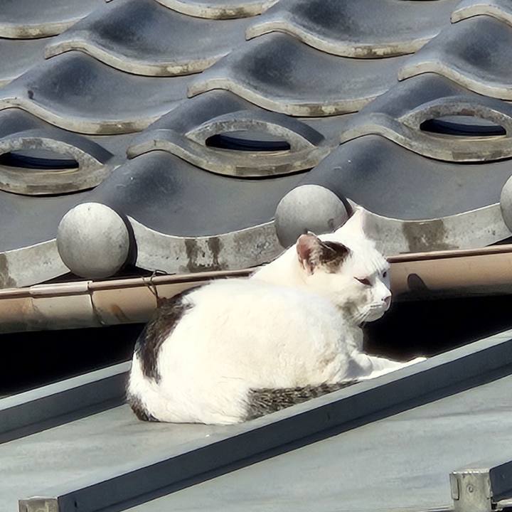 89bb5de3 a9e9 4030 99f9 edfe85f2f3fc 1737424080009