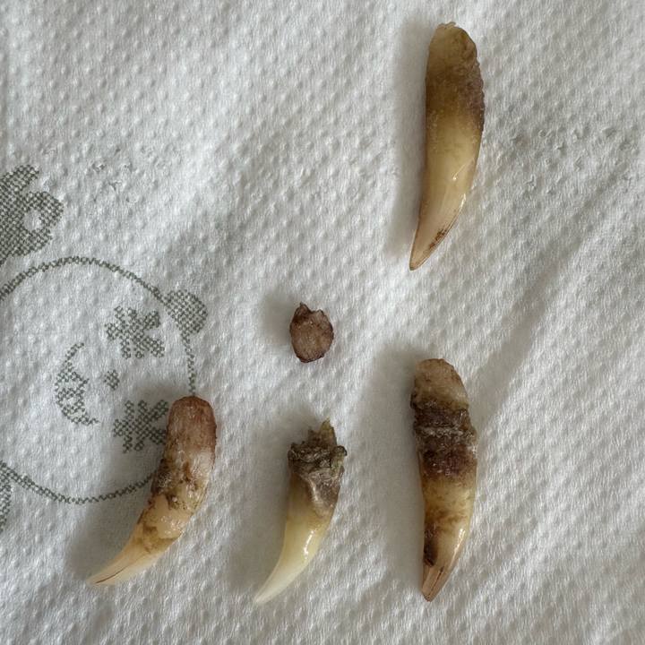 89bbaaac f35b 48b0 a617 ecc8cfe320cd 1735439614952