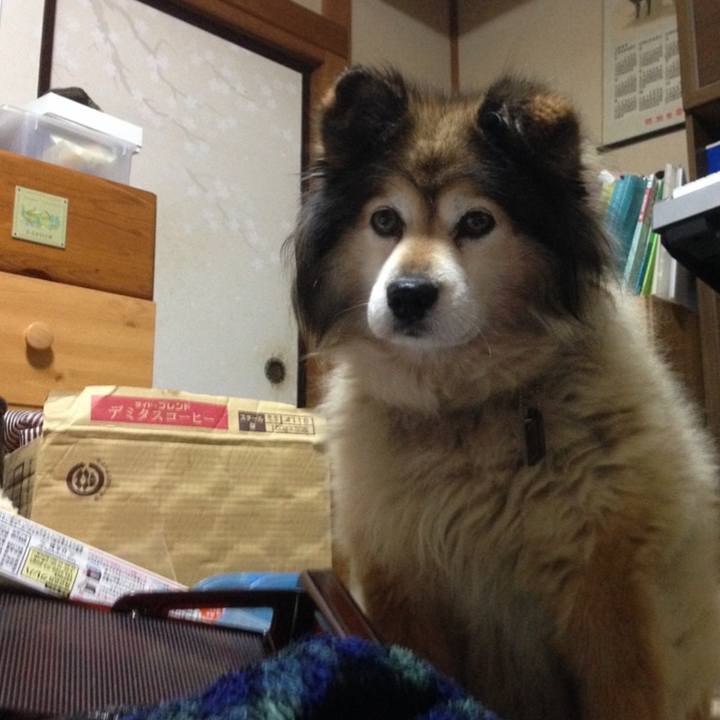 89bbf010 5fe9 4696 9ee7 d982c7d25133 1648458719477