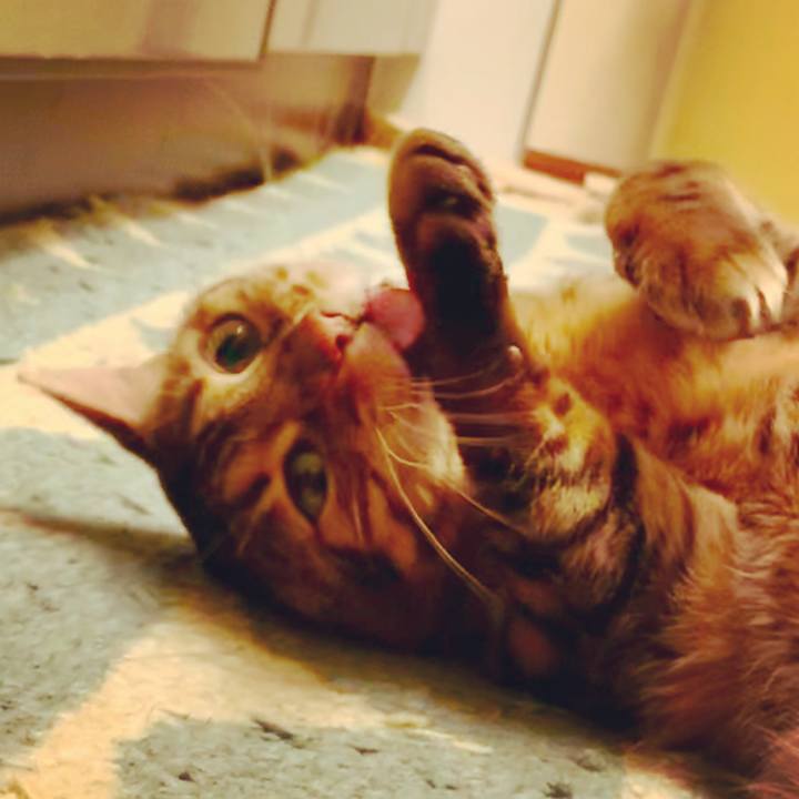 89bbfc8b 512f 4f69 ab7c dccef35d762f 1577747682374