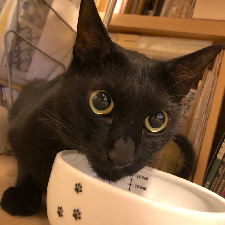 89bc029a 3309 4cf6 94c5 344c3886c5aa 1532957268379