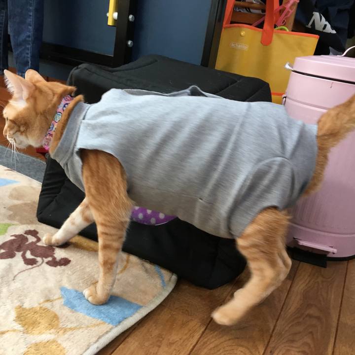 89bc0898 c5b5 4429 ab62 5ea1598f3e80 1521869801824