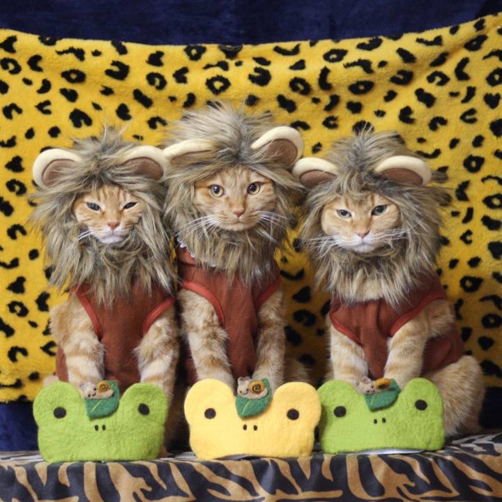 89bc2f25 7796 45ea 84bc e5ccf258abd9 1622626413857