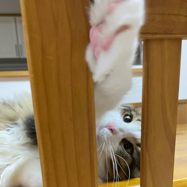 89bc42a2 f97d 4f6e a954 36e854c06d9c 1640725830309