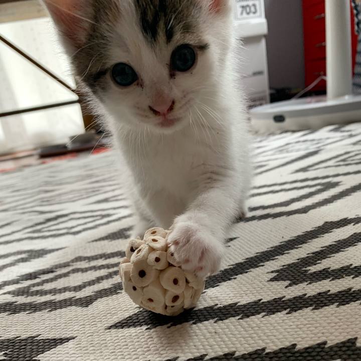 89bc7d08 d4ad 4dfd b519 8150859f6de0 1589766636314