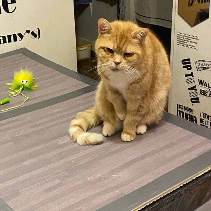 89bcb92c 163a 4c9b b64f a1cd158f2b26 1646577278446