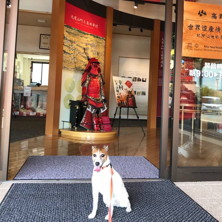 89bcdd4f d5fe 4e3b 9e9b 52438fb7c2d5 1529237145539