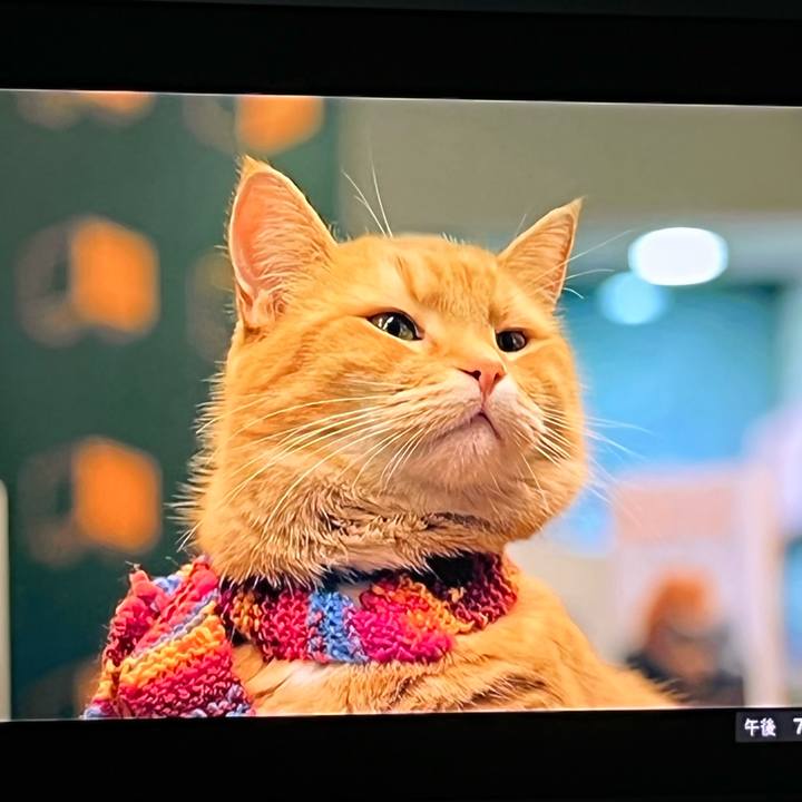 89bd309d f38b 4981 b777 b1036265d05d 1649674704589