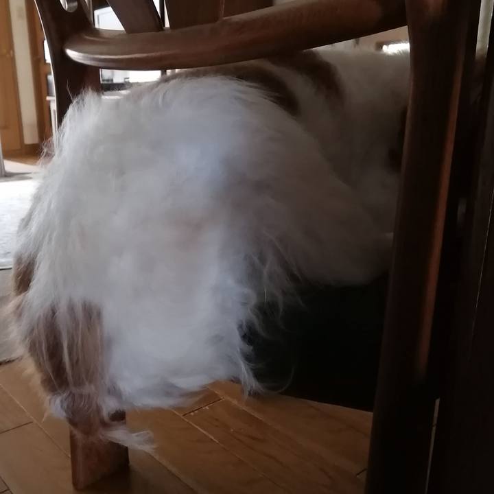 89bd6331 7463 47e7 9fc9 178bbf7adb49 1574137866970