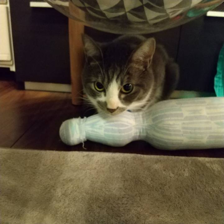 89bd6b13 f5b2 46d8 9a60 f37be2cf000a 1604609779440