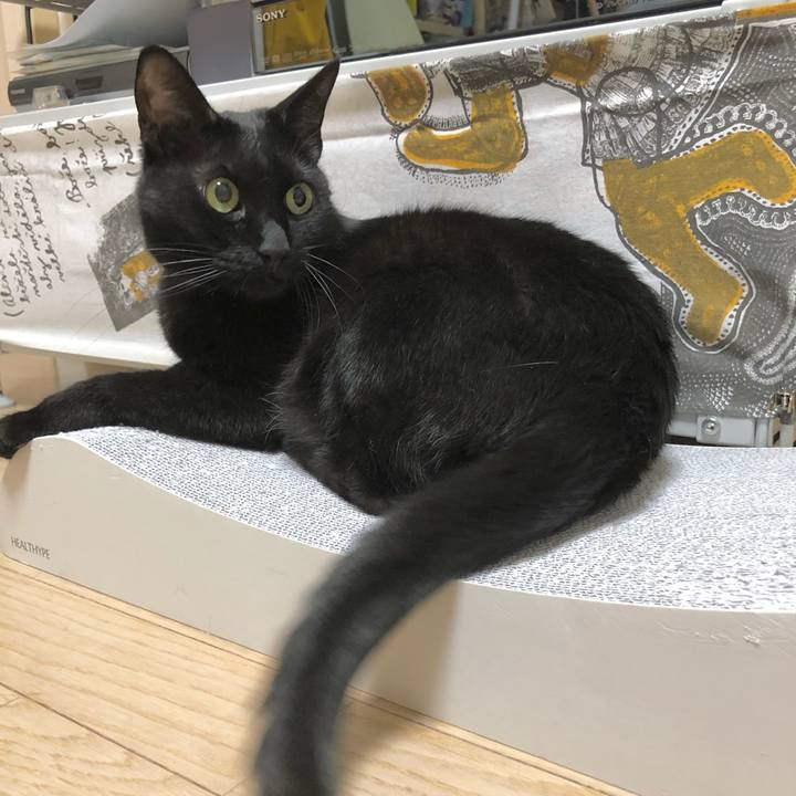 89bd950f ef4b 4d16 bddb 0a39a60bfa2c 1619011783681