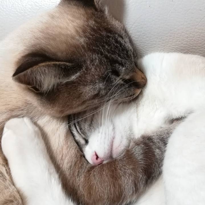 89bdf212 ca52 4515 b781 8012c7afc5d0 1542538558924