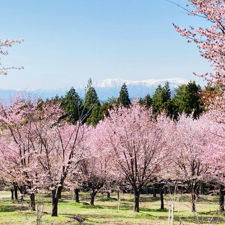 89bdf5b5 90b6 4123 9f15 d516f95c864c 1777189904589