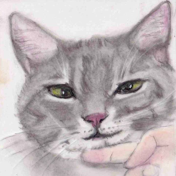 89be4c5c 4878 45ce 8171 5618c09bd544 1647794049036