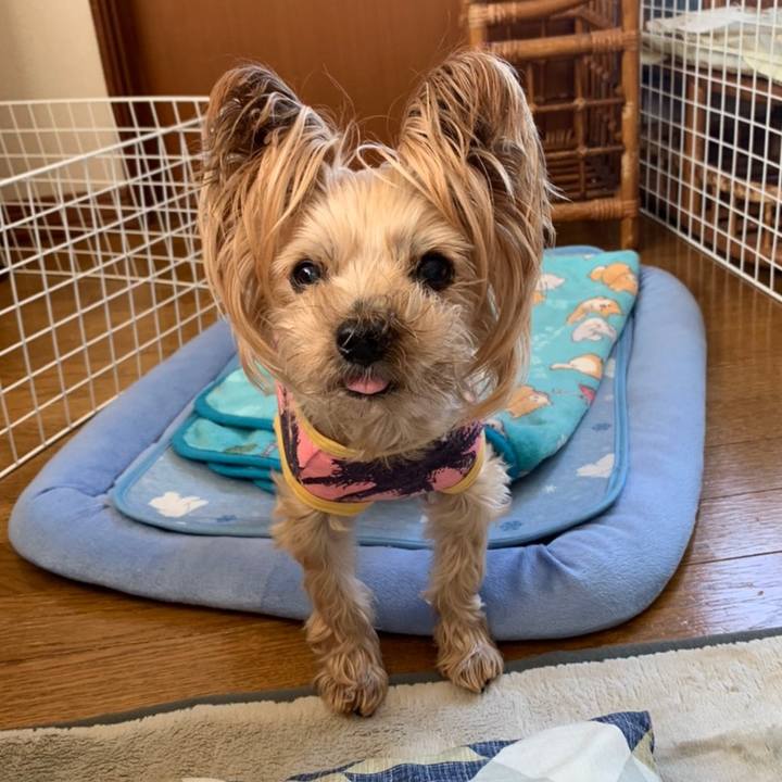 89be6196 6a82 4682 b972 de72b5a6ff85 1618221803887