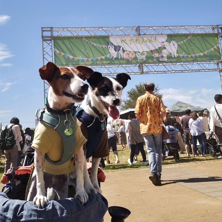 89be8110 3bdd 480c 93e5 aa63a13b1fc8 1726402985709