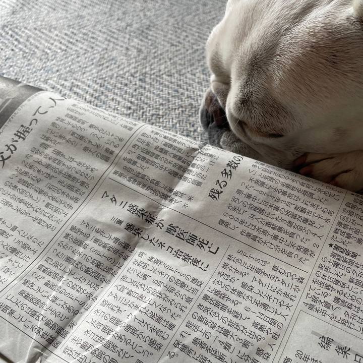 89bea948 91e1 403f 8d2f fade23558211 1749963897153