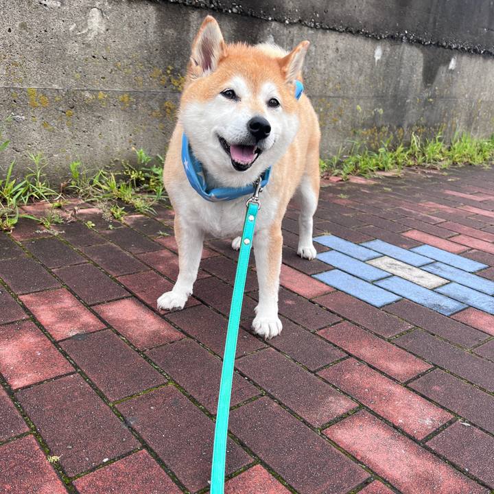 89bedcd7 158e 4d9c 9f26 27d44cd8dc83 1720929575262