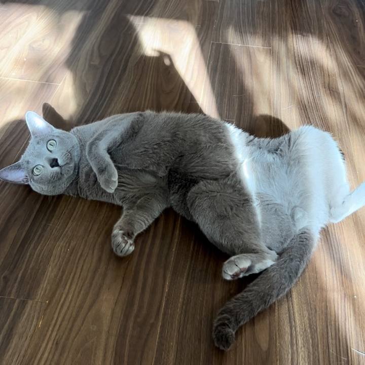 89bf1396 435f 42f8 862d c9514e9ba9eb 1746618532084