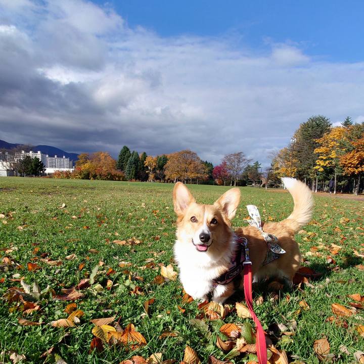 89bf1495 cef7 40b1 8a07 5842d6ed25d2 1762136231807