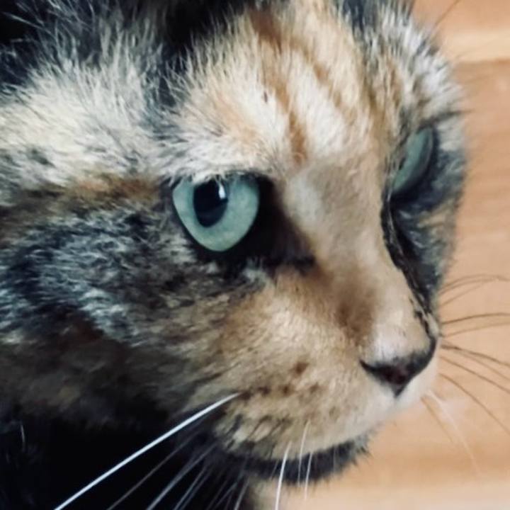 89bf7758 8ded 49a0 afc3 73cd4e89a50f 1729144849750