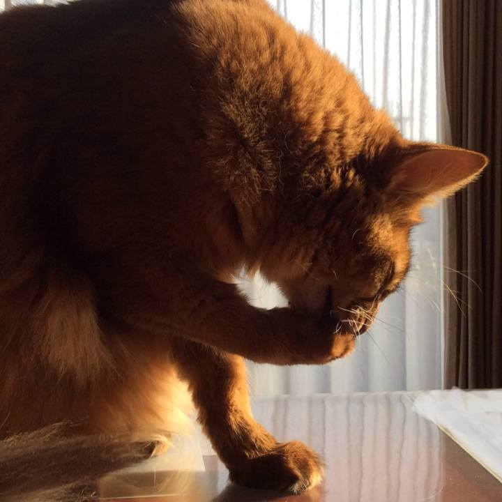 89bf8003 9c2f 44ec be6d 36c9d052817a 1616052870008