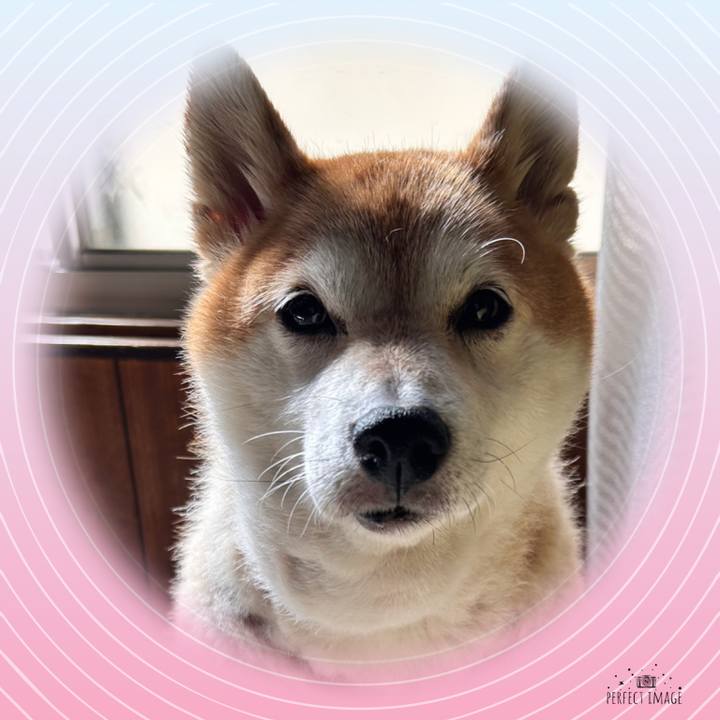 89bfab32 0491 449b 8ddd bedb7f045446 1730700199179