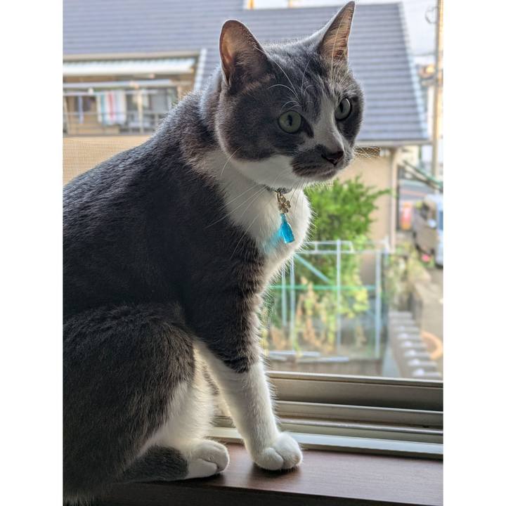 89bfc514 6f04 4134 ac09 75abf4d55098 1726091676642