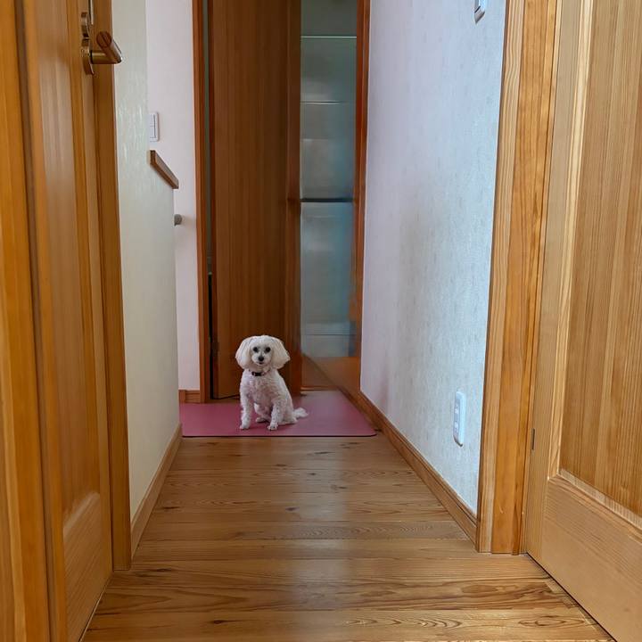 89c014b3 3cad 4da0 957b 837808b01705 1773384879701