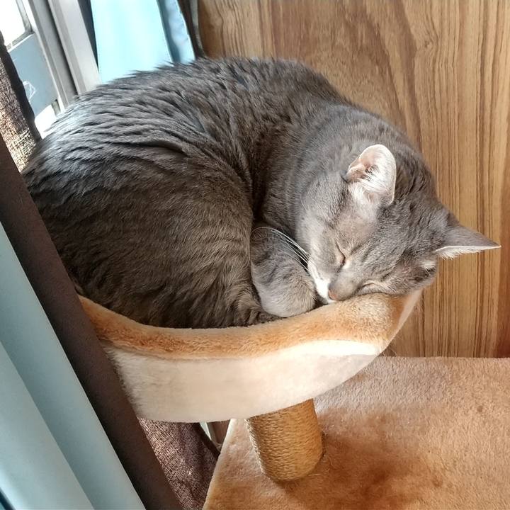 89c03957 70c4 4860 be18 3778850ca641 1613882566352