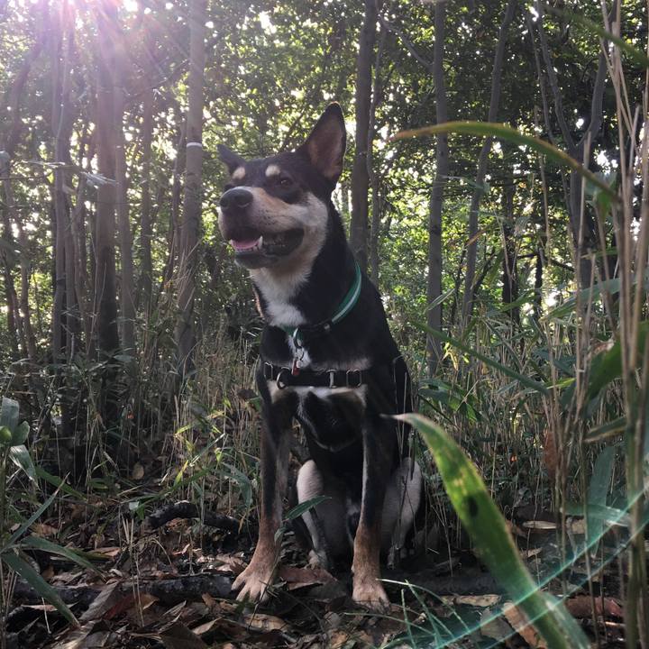 89c04c8b c961 48ca 811a 4aa642d3d188 1511415877775