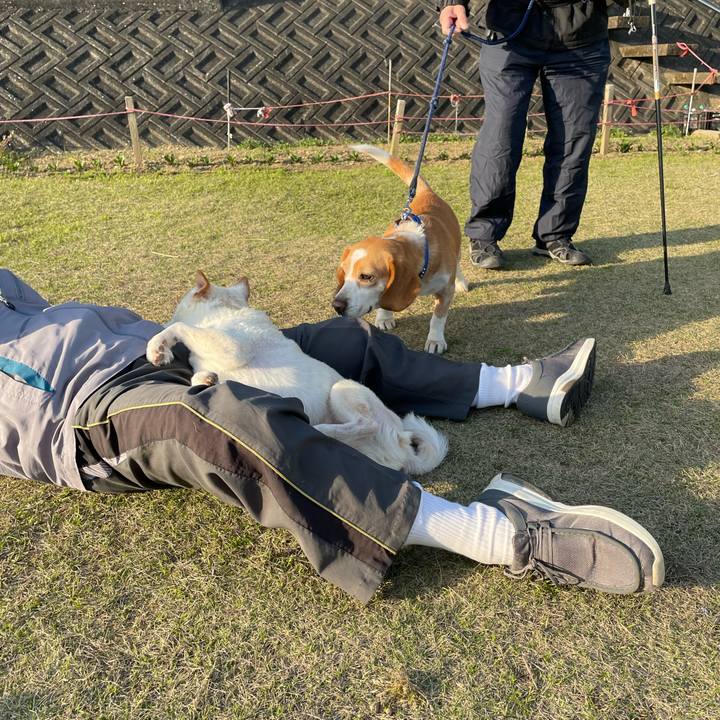 89c07cc0 2466 4012 b6c5 e818a8a05cf6 1679223677445