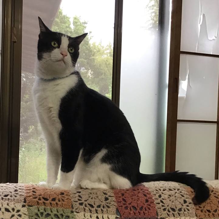 89c07cf3 1eb2 4b94 aff9 1e51615dc4c0 1749221607912