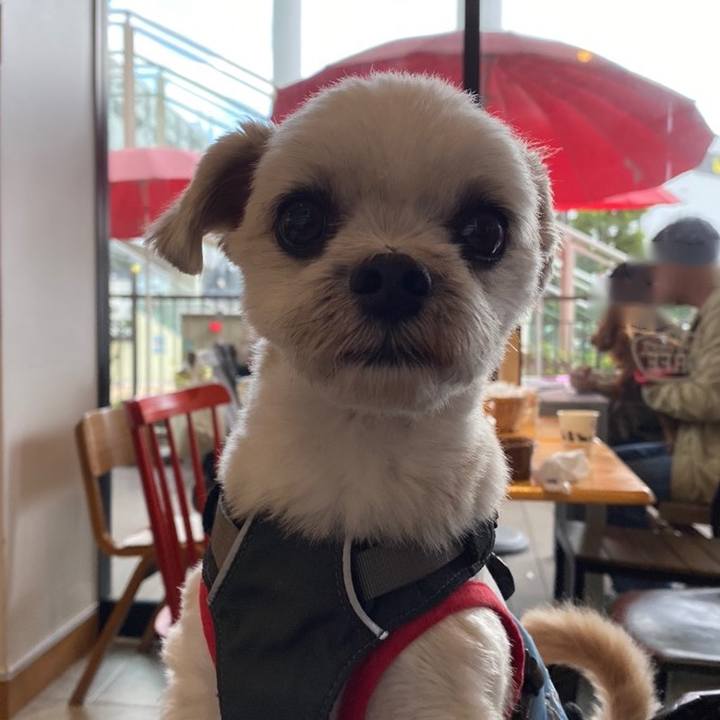 89c0ce20 5182 4449 a075 9f27c02cb2de 1571542584331