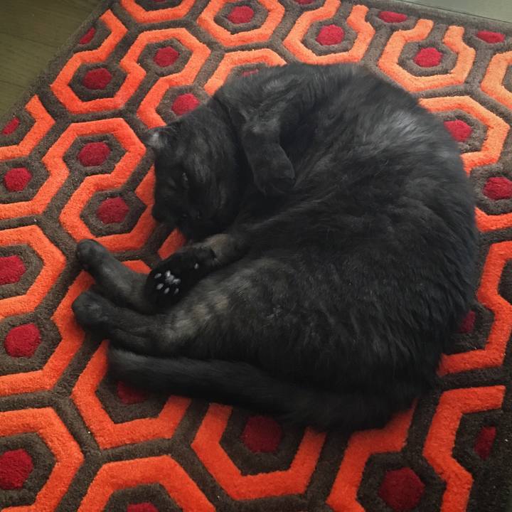 89c0db4d 91bd 4acf 9d98 54d2e82d89d1 1534813581514