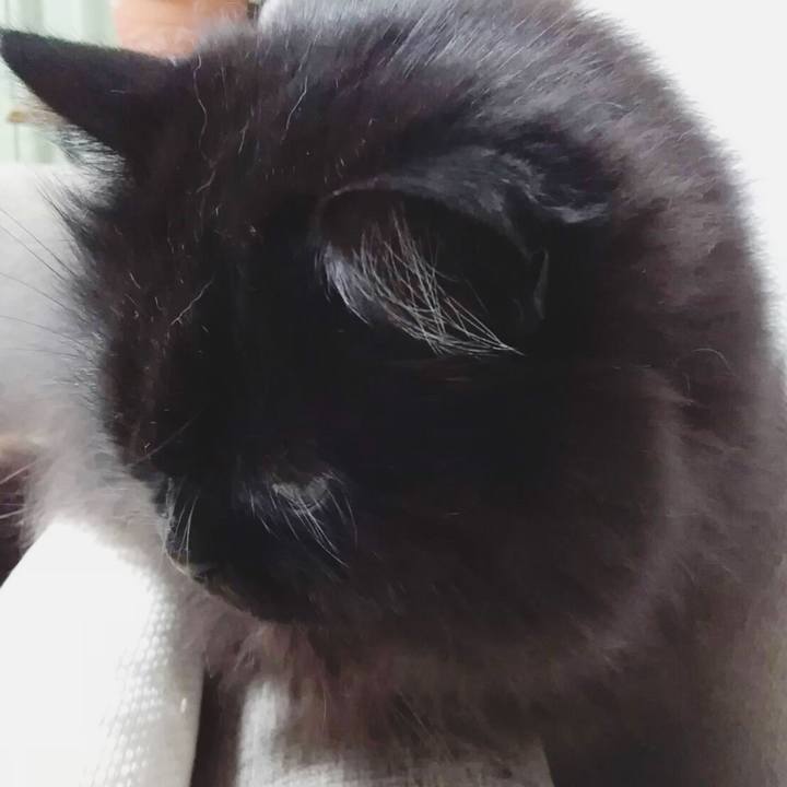 89c1127e edc6 487b b19b ea793c2f0b64 1518862776863