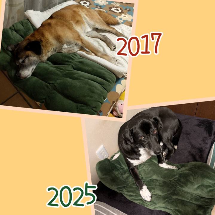 89c15a2e b031 41f7 9166 aee5e73abefc 1741396226600